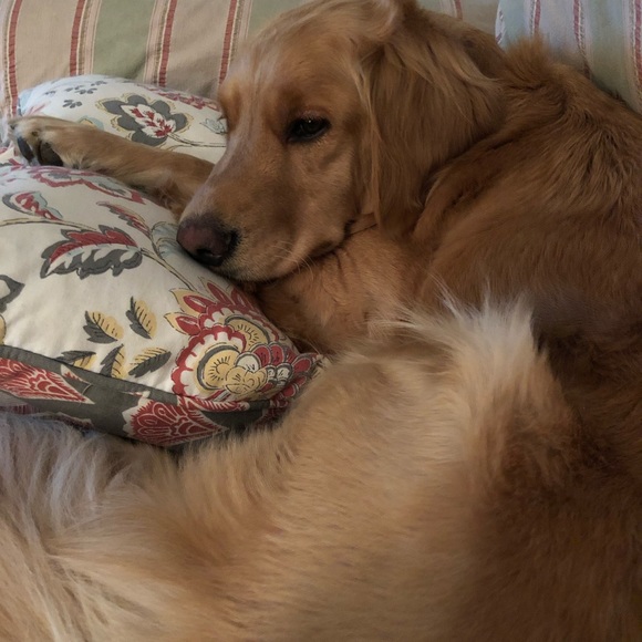 Meet your Posher, Jennifer - Picture 7 of 8